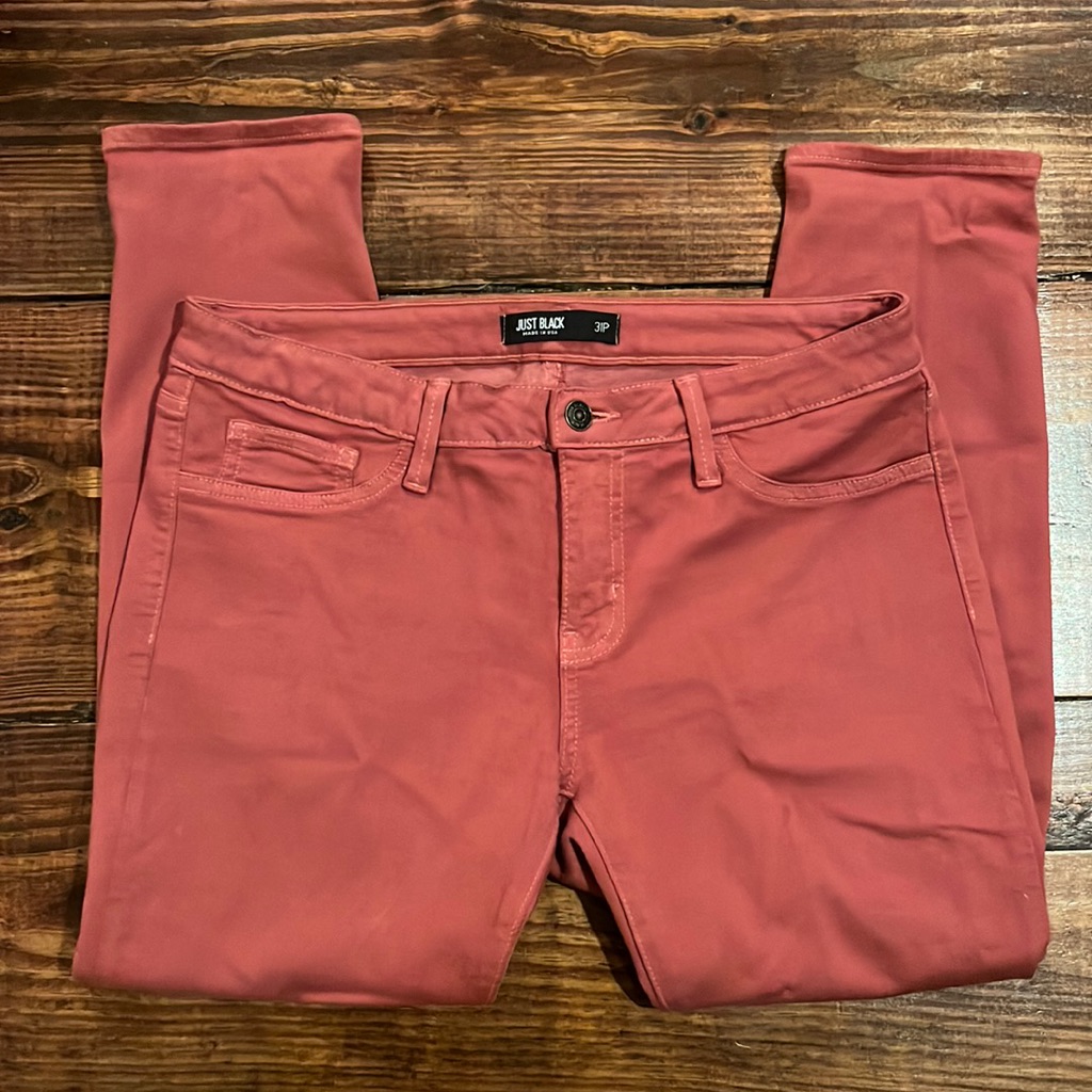 Nwot 31p Skinny Pant In Salmon